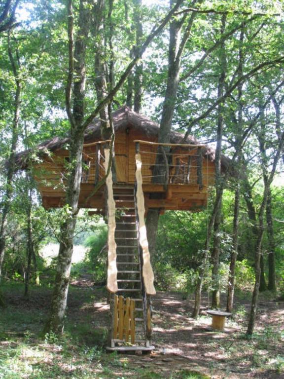 Une Nuit Aux Lierres... Vouzon Exterior photo